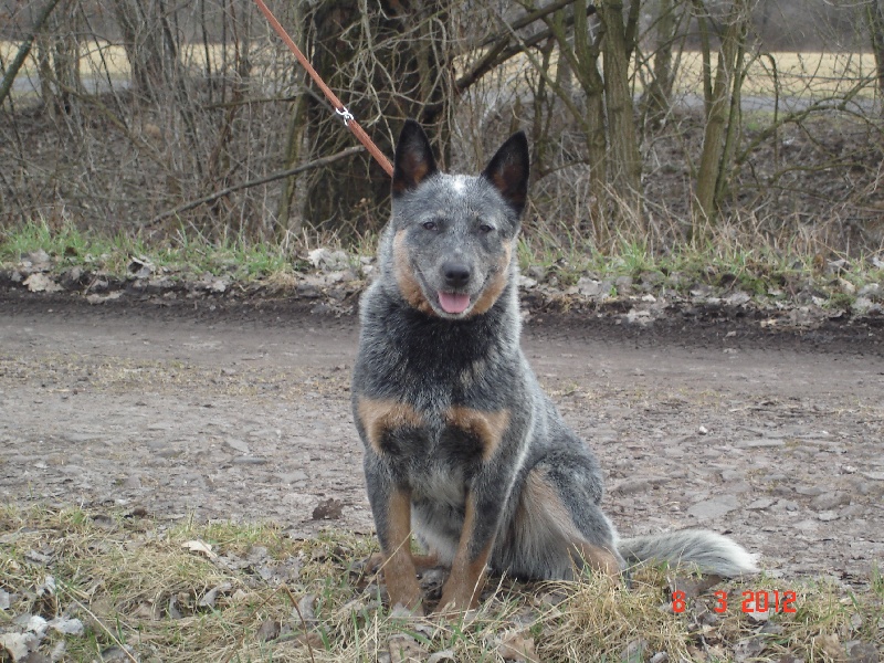 Gina du mont de la Nonnenhardt
