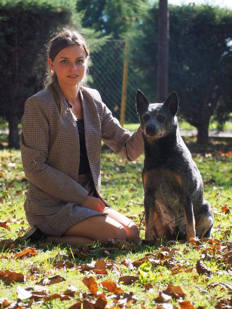 CH. New blue fever mandy du mont de la Nonnenhardt